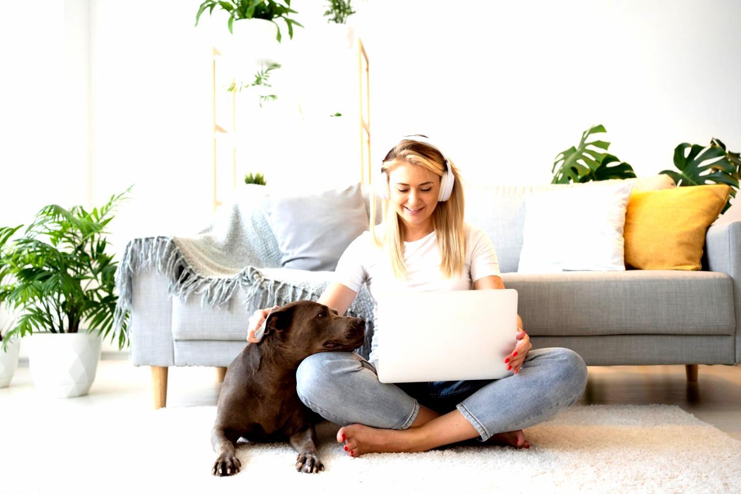 Formation en finance d'entreprise